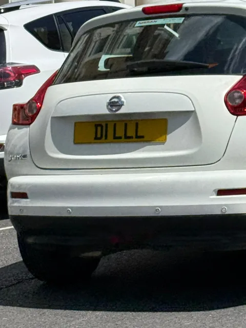 D1 LLL — photo 2 of 2