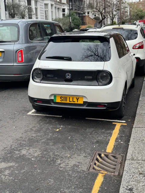 S111 LLY — photo 2 of 2