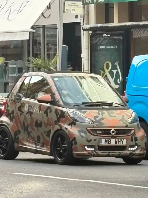 M8 WHY