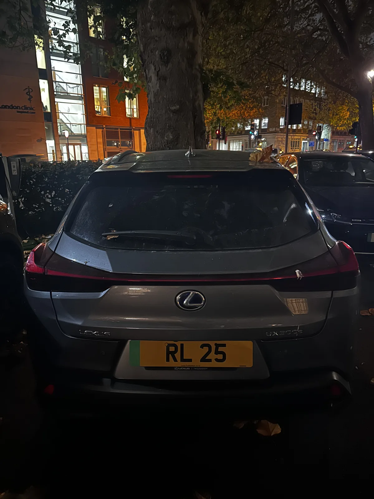 RL 25 on a Lexus UX 300e
