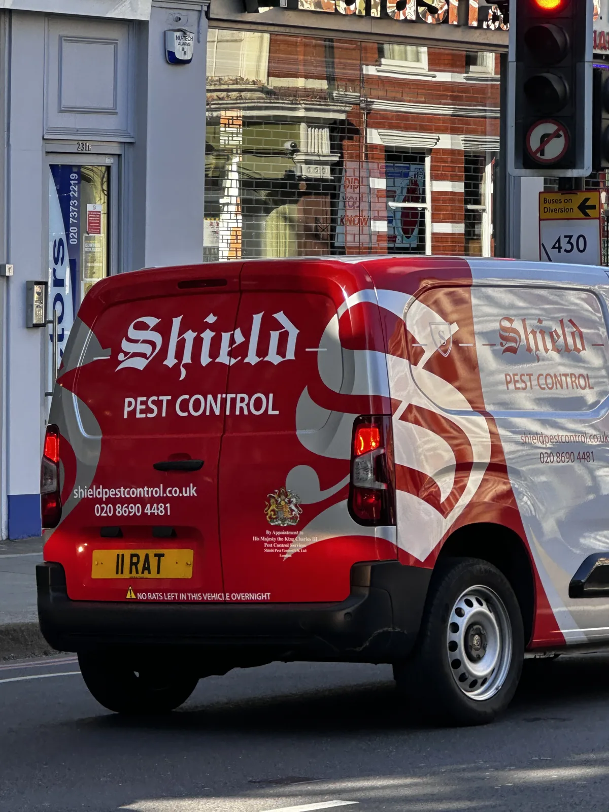 11 RAT — photo 3